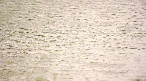Slow motion of rain dropping on sepia water surface. Calm rings in the pond Stock Footage 53795931