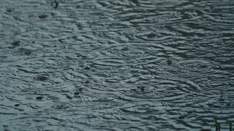 Slow Motion Rain Drops and Puddles Stock-Footage 75952463