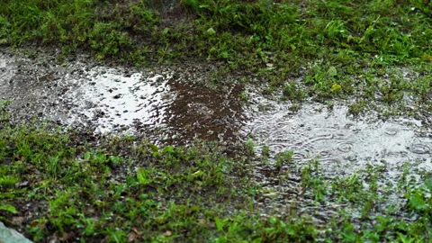 Slow motion of rain drops in the city during heavy tropical downpour, drops.. 動画素材 345146246