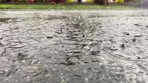 Slow motion rain drops close up Stock Footage 245209270