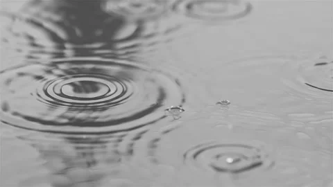 Slow motion of rain drops in a puddle Video stock 275654490