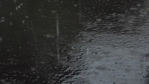 Slow motion of rain drops water Stock Footage 243177684