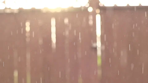 Slow motion rain falling with background out of focus Vídeos de archivo 29605585