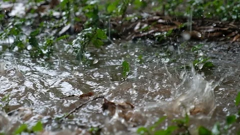 Slow motion of rain falling Video stock 103538866