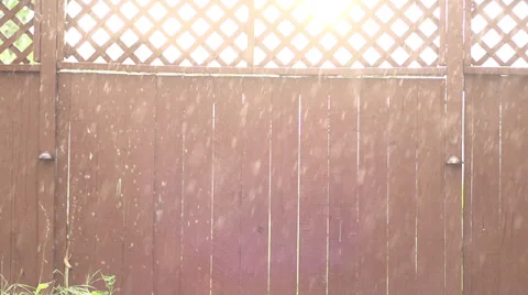 Slow motion rain falling in front of an old wooden fence Vídeos de archivo 29605076