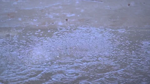 Slow motion rain falling on ground in beautiful dark day Video stock 115089679