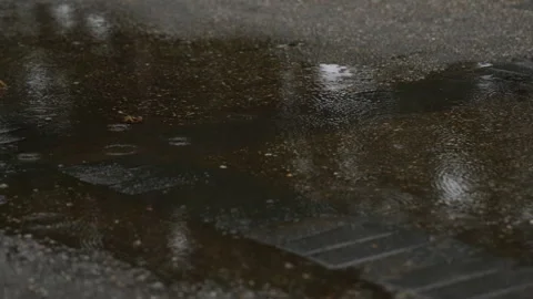 Slow motion rain falling into a large puddle in a park in Japan Video stock 348586918