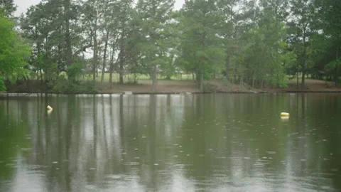 Slow motion rain falling on tranquil lake at wooded Texas campsite Stock Footage 237275731