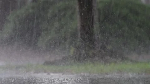Slow Motion Rain Stock Footage 157377042