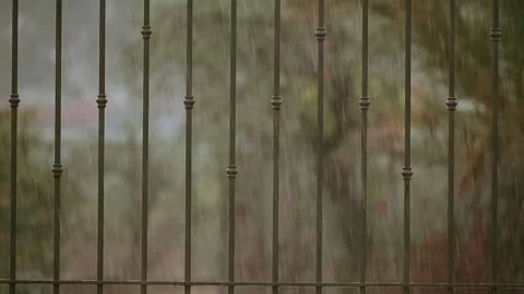 Slow motion rain Stock Footage 285315835