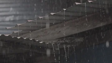 Slow motion of rain, Malaysia Stock Footage 86100857