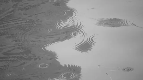Slow Motion Rain Ripples in Black and White 스톡 동영상 53456489