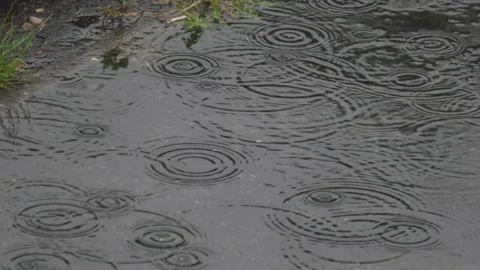 Slow motion rain ripples in puddle Stock Footage 273879342