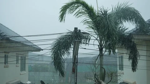 Slow motion rain storm monsoon in weather bad day Stock Footage 113396207