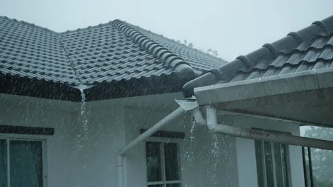Slow motion rain storm monsoon in weather bad day Stock Footage 113396599