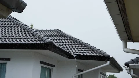 Slow motion rain storm monsoon in rainy weather bad day Stock Footage 113397193