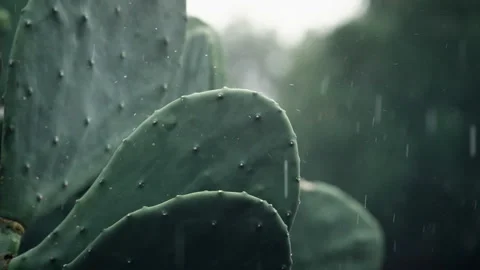 Slow Motion Rain Storm In Tornado Alley During Severe Weather Stock Footage 136392994