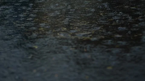 Slow Motion Rain In Swirling Puddle Stock-Footage 118468445