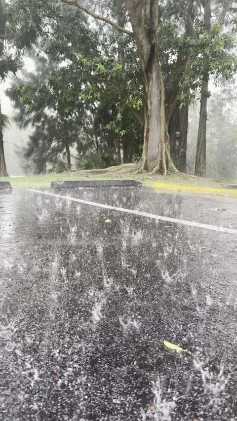 Slow Motion Rain on Wet Parking Lot During Hurricane, Vertical 4K, Miami Stock Footage 341366293