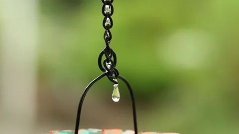 Slow Motion Raindrop Falling From Rain Chain Stock Footage 342318684