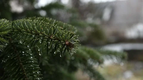 Slow Motion Raindrop Stock Footage 86520678