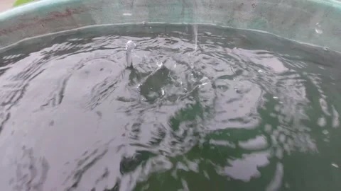 Slow Motion of Raindrops Creating Ripples on Water Surface in Barrel Stock Footage 333642431