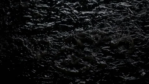 Slow motion raindrops fall into a large puddle as a background. Stock-Footage 114295429