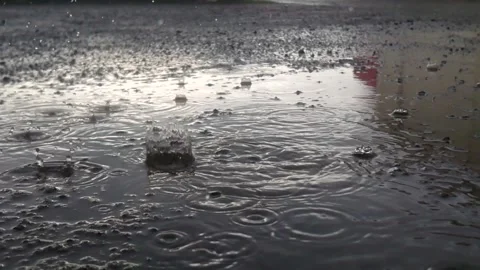 Slow motion of raindrops falling to the floor 스톡 동영상 298506222