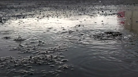 Slow motion of raindrops falling to the floor 스톡 동영상 298506237