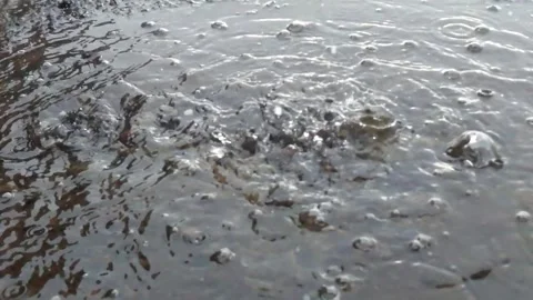 Slow motion of raindrops falling to the floor 스톡 동영상 298506238