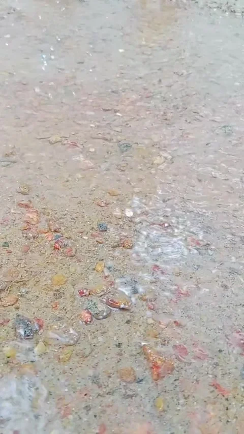 Slow motion raindrops falling on the ground Stock Footage 346745912
