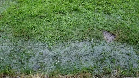 Slow motion of raindrops falling into the water Stock Footage 259833114
