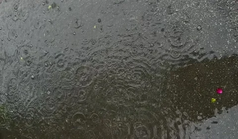 Slow Motion Raindrops Falling on Wet Surface with Ripples Stock Footage 277270743