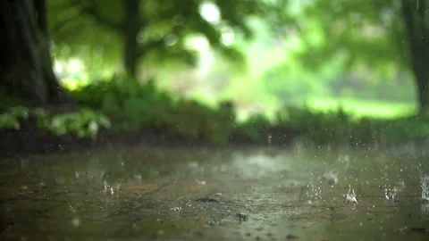 Slow motion of raindrops on the floor Stock Footage 156488445