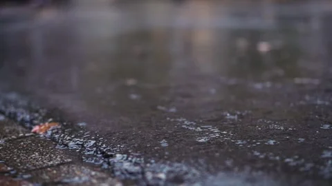 Slow-motion raindrops hit the black concrete pavement with leaves. Stock-Footage 292836989
