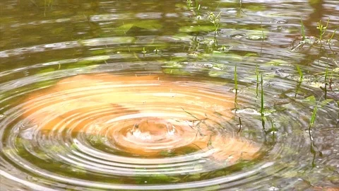 Slow Motion Raindrops Over a Pink Stone Stock Footage 105067654