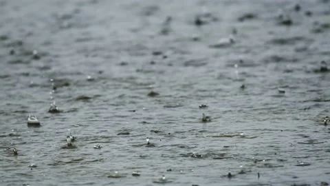 Slow motion Raindrops on Pond in Oregon Stock-Footage 224849501