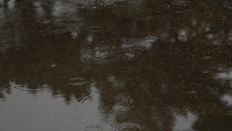 Slow motion raindrops on a puddle reflecting trees in Japan Video stock 348583824