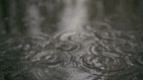 Slow motion. Raindrops in a puddle on the sidewalk Stock Footage 76117679