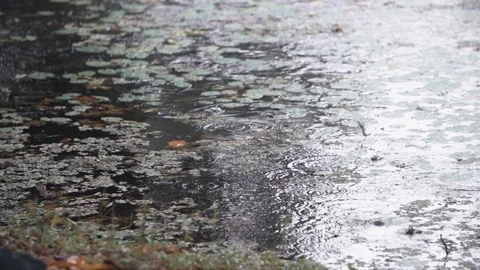 Slow motion of raindrops on the river Video stock 128136771