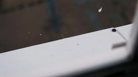 Slow Motion Raindrops on Window Stock Footage 283840377