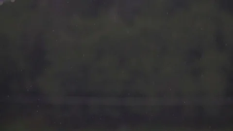 Slow motion, rainfall Stock-Footage 73795965