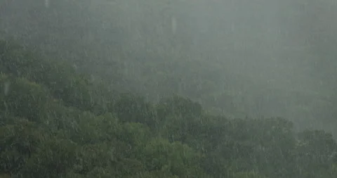 Slow-Motion Rainfall in Valley Video stock 192416211