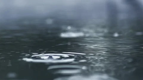 Slow motion of Raining in Puddle, Rain Background Stock Footage 318108707