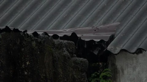 Slow Motion. Rainwater Dripping Between the Asbestos Roofs of Residents' Houses Stock Footage 309503842