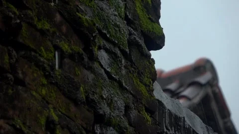 Slow Motion. Rainwater Flows From Rooftops Flowing Through Mossy Walls Video stock 309505701