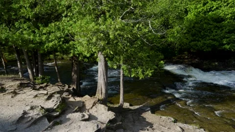 Slow motion of rapid river water over rocks Stock Footage 166595260
