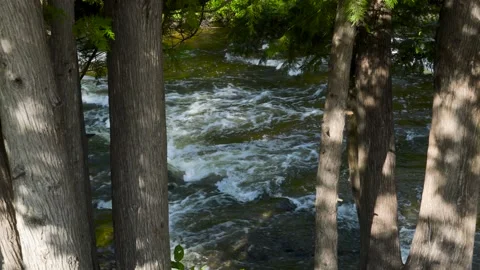 Slow motion of rapid river water over rocks Stock Footage 166595559