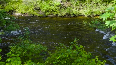 Slow motion of rapid river water over rocks Stock Footage 166596348