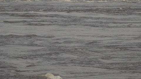Slow motion rapids Stock Footage 119295958